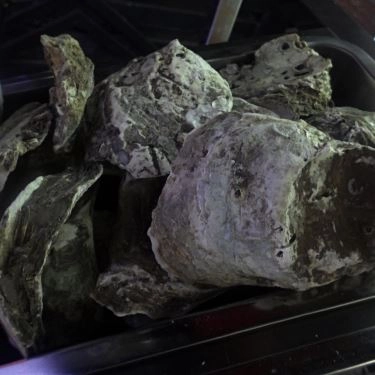 Tổng hợp- Quán Ăn Hải Sản Cô 3 Dung