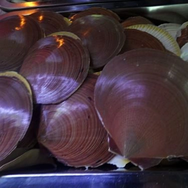 Tổng hợp- Quán Ăn Hải Sản Cô 3 Dung