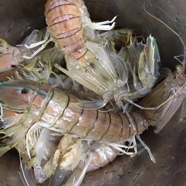 Tổng hợp- Quán Ăn Hải Sản Cổ Ký