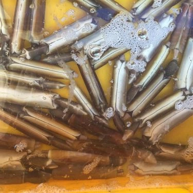 Tổng hợp- Quán Ăn Quán Hiền Khương - Hải Sản Tươi Sống