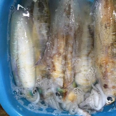 Tổng hợp- Quán Ăn Quán Hiền Khương - Hải Sản Tươi Sống