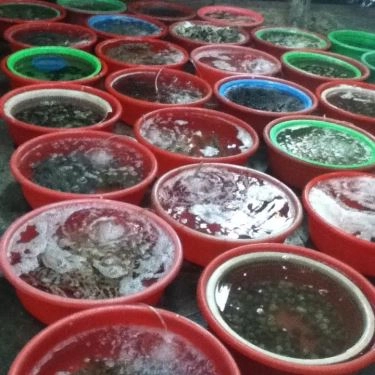 Tổng hợp- Quán Ăn Hải Sản Lộng Gió