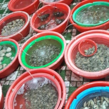 Tổng hợp- Quán Ăn Hải Sản Lộng Gió
