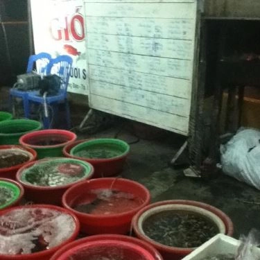 Tổng hợp- Quán Ăn Hải Sản Lộng Gió