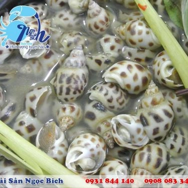 Tổng hợp- Quán Ăn Hải Sản Ngọc Bích - Cua Cà Mau