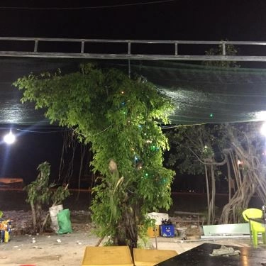 Tổng hợp- Quán Ăn Hải Sản Nhớ