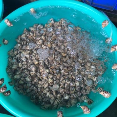 Tổng hợp- Quán Ăn Hải Sản Ốc Biển - Bờ Kè