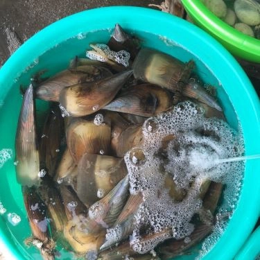 Tổng hợp- Quán Ăn Hải Sản Ốc Biển - Bờ Kè