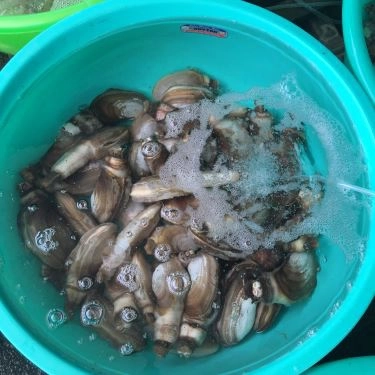 Tổng hợp- Quán Ăn Hải Sản Ốc Biển - Bờ Kè