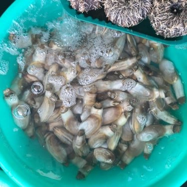 Tổng hợp- Quán Ăn Hải Sản Ốc Biển - Bờ Kè