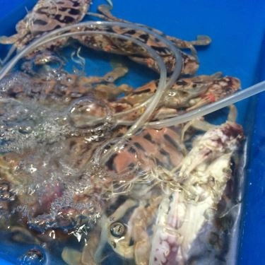 Tổng hợp- Quán Ăn Hải Sản Phố Cổ