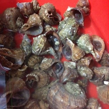 Tổng hợp- Quán Ăn Hải Sản Phố Cổ