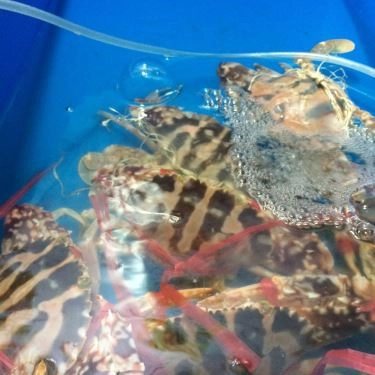Tổng hợp- Quán Ăn Hải Sản Phố Cổ