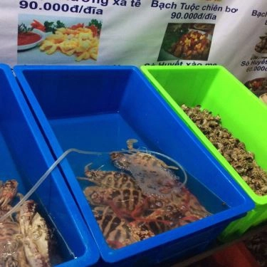 Tổng hợp- Quán Ăn Hải Sản Phố Cổ