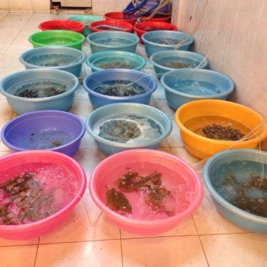 Tổng hợp- Quán Ăn Hải Sản Sóng Xanh