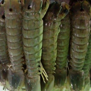 Tổng hợp- Quán Ăn Quán Thái Hà - Hải Sản Bình Châu