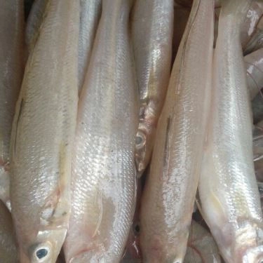 Tổng hợp- Quán Ăn Quán Thái Hà - Hải Sản Bình Châu