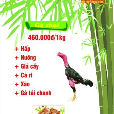 Tổng hợp- Nhà Hàng Hải Yến Tre Bãi Đá - Cá Sông & Gà Đồi