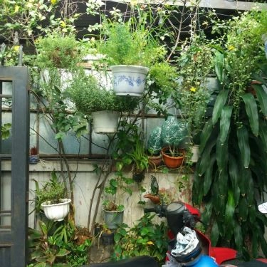 Tổng hợp- Quán Ăn Hàn Phố - Món Quảng