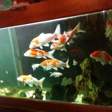 Tổng hợp- Quán Ăn HaNa - Mì Cay - Văn Quán