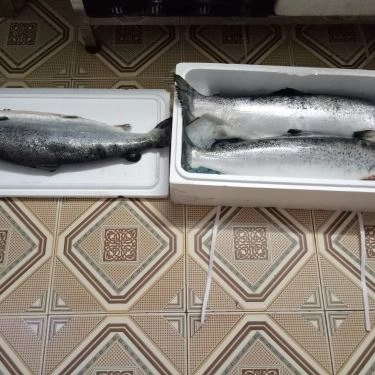 Tổng hợp- Quán Ăn Hana Sushi - Nguyễn Văn Lượng