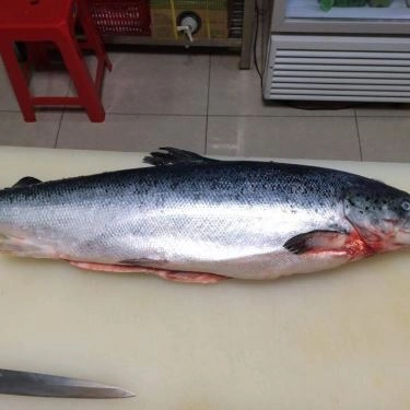 Tổng hợp- Quán Ăn Hana Sushi - Nguyễn Văn Lượng