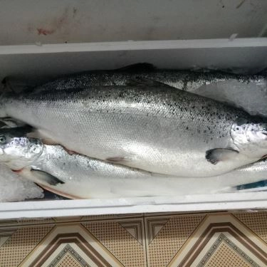 Tổng hợp- Quán Ăn Hana Sushi - Nguyễn Văn Lượng