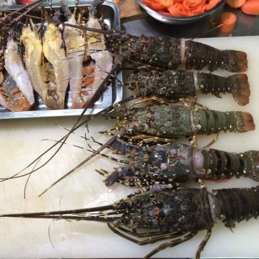 Tổng hợp- Quán Ăn Hana Sushi - Nguyễn Văn Lượng