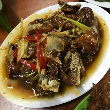 Tổng hợp- Quán Ăn Hạnh Béo - Vịt Nướng