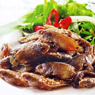 Món ăn- Quán Ăn Hào Sữa - Hải Sản Tươi Sống
