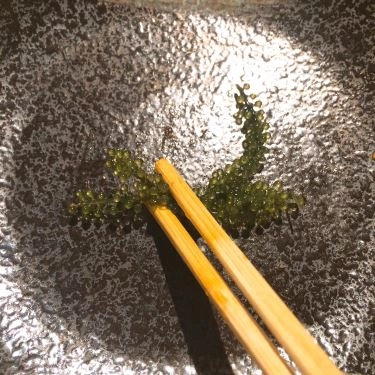 Tổng hợp- Quán Ăn Haru Sushi - Phan Xích Long
