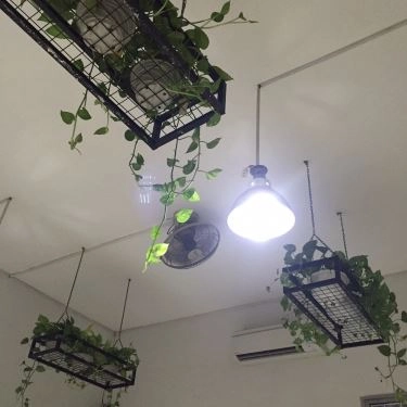 Tổng hợp- Quán Ăn Hàu Chóp Chép - Thế Giới Hàu
