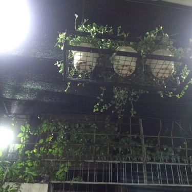 Tổng hợp- Quán Ăn Hàu Chóp Chép - Thế Giới Hàu