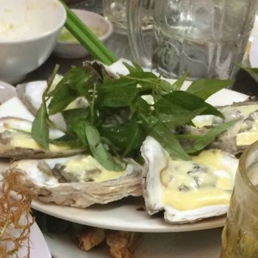 Tổng hợp- Quán Ăn Hàu Múp - Đặc Sản Hàu & Hải Sản