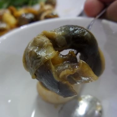 Tổng hợp- Quán Ăn Hàu Múp - Đặc Sản Hàu & Hải Sản