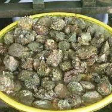 Món ăn- Quán Ăn Hàu Tươi Sống - Triệu Việt Vương