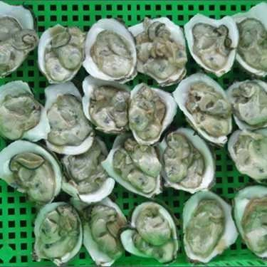Món ăn- Quán Ăn Hàu Tươi Sống - Triệu Việt Vương