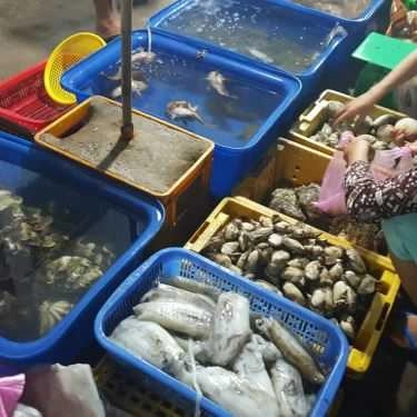 Tổng hợp- Quán Ăn Hiền Hậu - Vựa Hải Sản - Đảo Nam Du