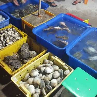Tổng hợp- Quán Ăn Hiền Hậu - Vựa Hải Sản - Đảo Nam Du