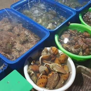 Tổng hợp- Quán Ăn Hiền Hậu - Vựa Hải Sản - Đảo Nam Du