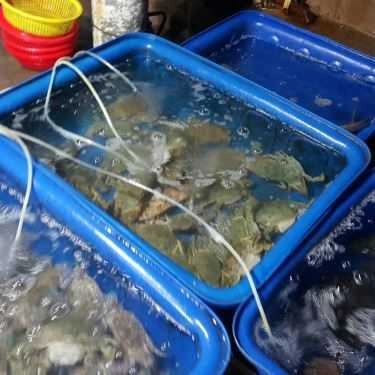 Tổng hợp- Quán Ăn Hiền Hậu - Vựa Hải Sản - Đảo Nam Du