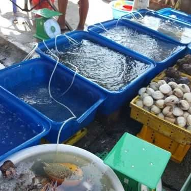 Tổng hợp- Quán Ăn Hiền Hậu - Vựa Hải Sản - Đảo Nam Du