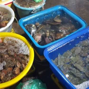 Tổng hợp- Quán Ăn Hiền Hậu - Vựa Hải Sản - Đảo Nam Du