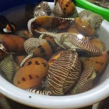 Tổng hợp- Quán Ăn Hiền Hậu - Vựa Hải Sản - Đảo Nam Du