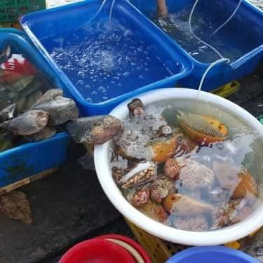 Tổng hợp- Quán Ăn Hiền Hậu - Vựa Hải Sản - Đảo Nam Du