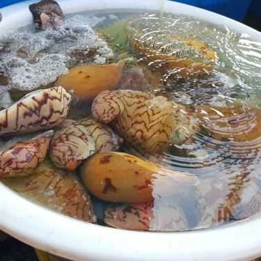 Tổng hợp- Quán Ăn Hiền Hậu - Vựa Hải Sản - Đảo Nam Du