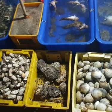 Tổng hợp- Quán Ăn Hiền Hậu - Vựa Hải Sản - Đảo Nam Du