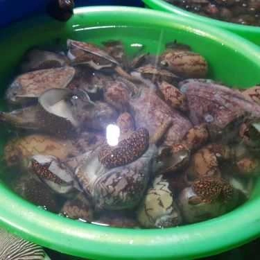 Tổng hợp- Quán Ăn Hiền Hậu - Vựa Hải Sản - Đảo Nam Du