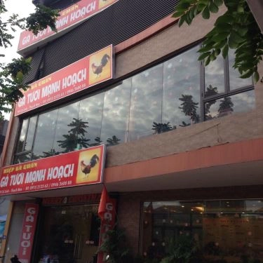 Tổng hợp- Quán Ăn Hiệp Gà - Gà Tươi Mạnh Hoạch