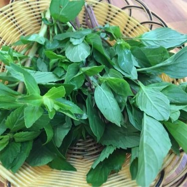 Tổng hợp- Quán Ăn Hiệp Tiến - Phở Miến Cháo Nam Định